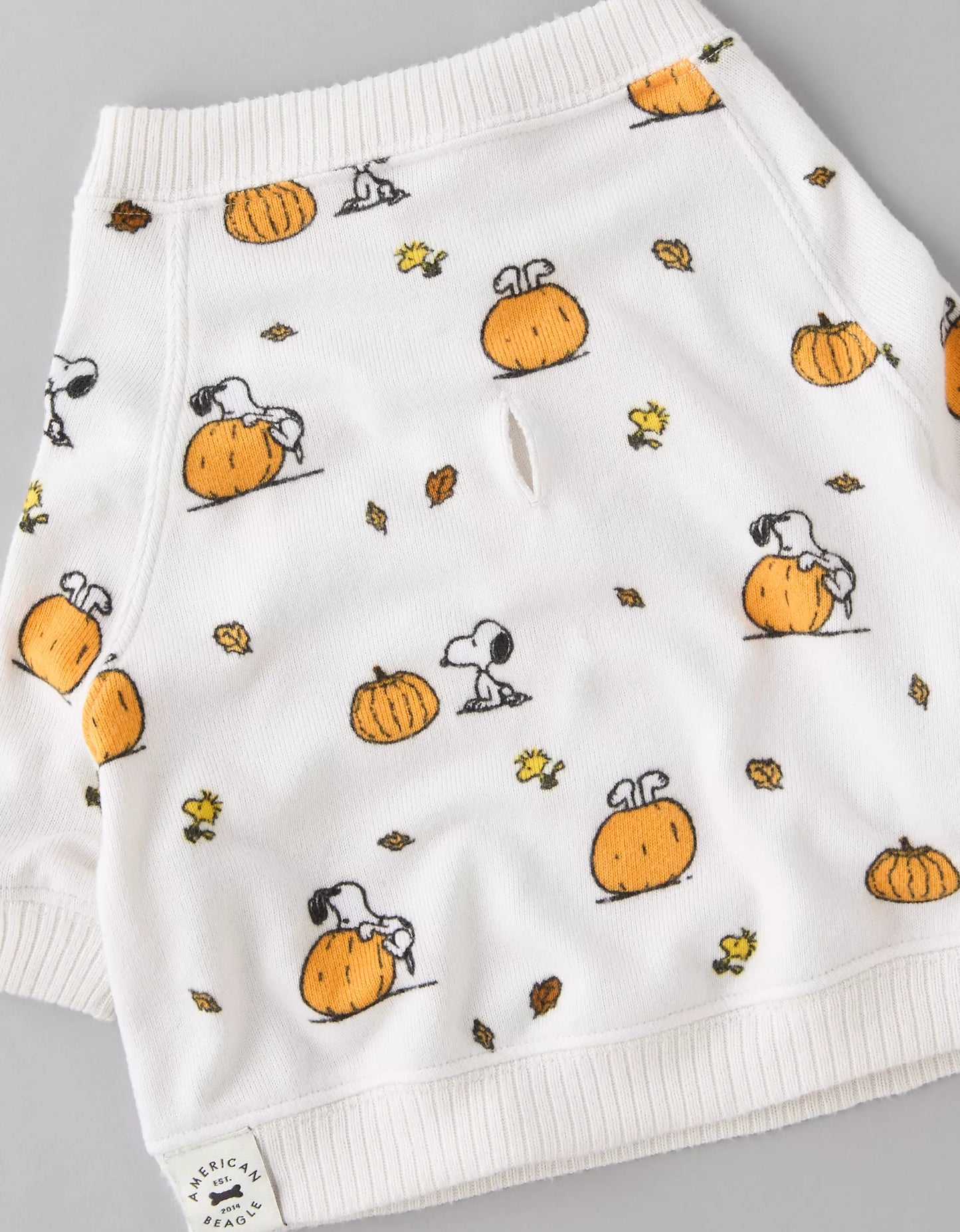 Ae ABO Snoopy Pumpkin Plush Dog PJ Shirt - PRE ORDEN