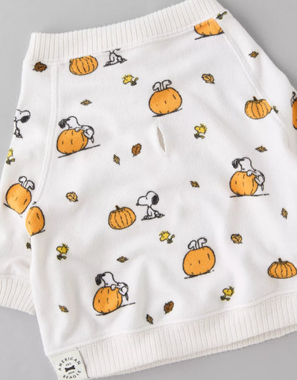 Ae ABO Snoopy Pumpkin Plush Dog PJ Shirt - PRE ORDEN